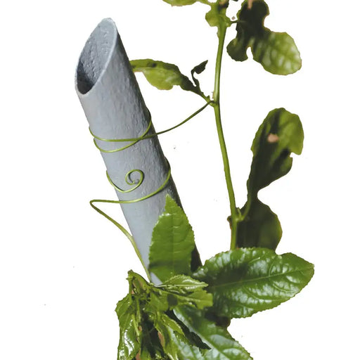 150CM TENAX WRAP PLANT POLE - Аксесоари<<<Мрежи и огради<<<Градина<<<Praktiker