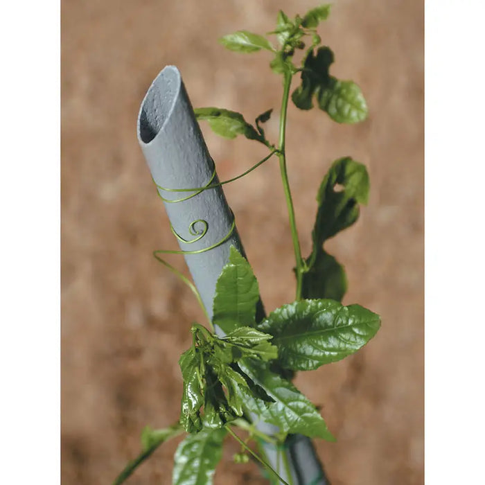 150CM TENAX WRAP PLANT POLE - Аксесоари<<<Мрежи и огради<<<Градина<<<Praktiker