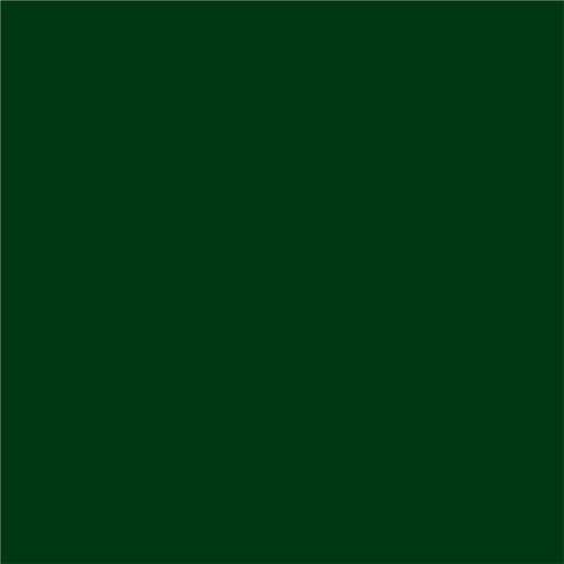 3 IN 1 ENAMEL LACQUER 500 ML DARK GREEN COLOR PROTECTA - Алкидни и водоразтворими<<<Бои за метал и дърво<<<Бои и