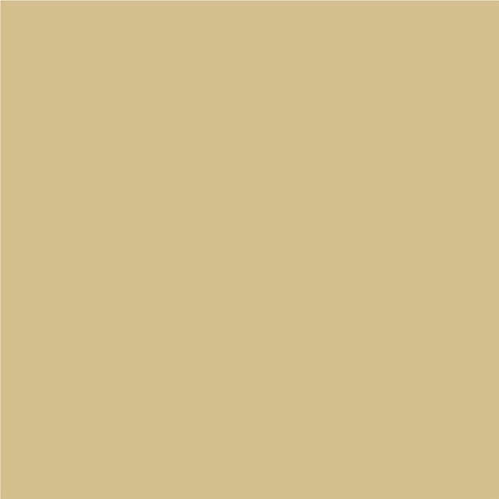 3 IN 1 ENAMEL POLISH 500 ML COLOR LIGHT BEIGE METALLIC PROTECTA - Алкидни и водоразтворими<<<Бои за метал и дърво<<<Бои