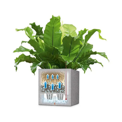 30X30CM POT WITH IRRIGATION SYSTEM LECHUZA CANTO - Саксии<<<Саксии кашпи и цветарници<<<Градина<<<Praktiker
