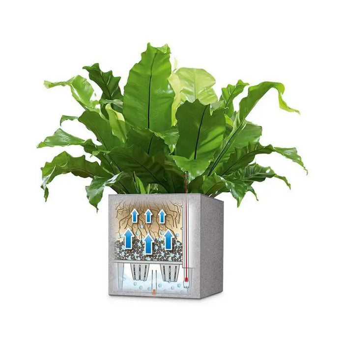 30X30CM POT WITH IRRIGATION SYSTEM LECHUZA CANTO - Саксии<<<Саксии кашпи и цветарници<<<Градина<<<Praktiker