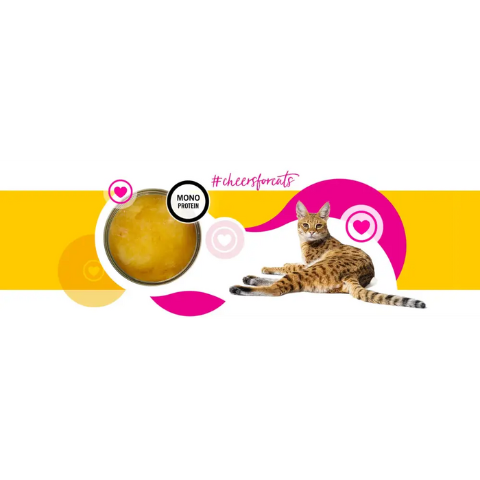 3COTY Cheers! 61. Chicken - wet cat food - 160g - Wet foodDLK-KAM<<<For the catDLK<<<ActionPL