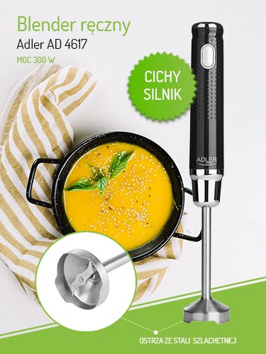 Adler AD 4617 blender Immersion blender Black,Silver 350 W