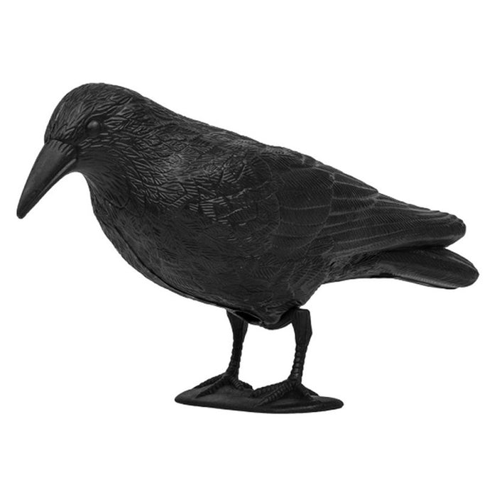 RAVEN FOR BIRD PROTECTION BRADAS CTRL-BR101