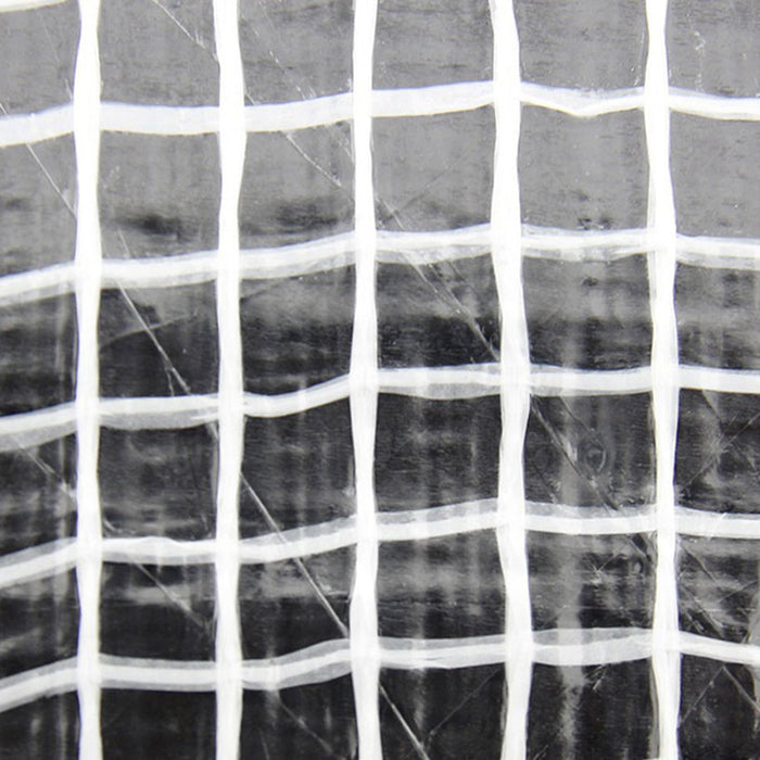 CANVAS/TARPING 2X3M TRANSPARENT BRADAS PLC1002/3