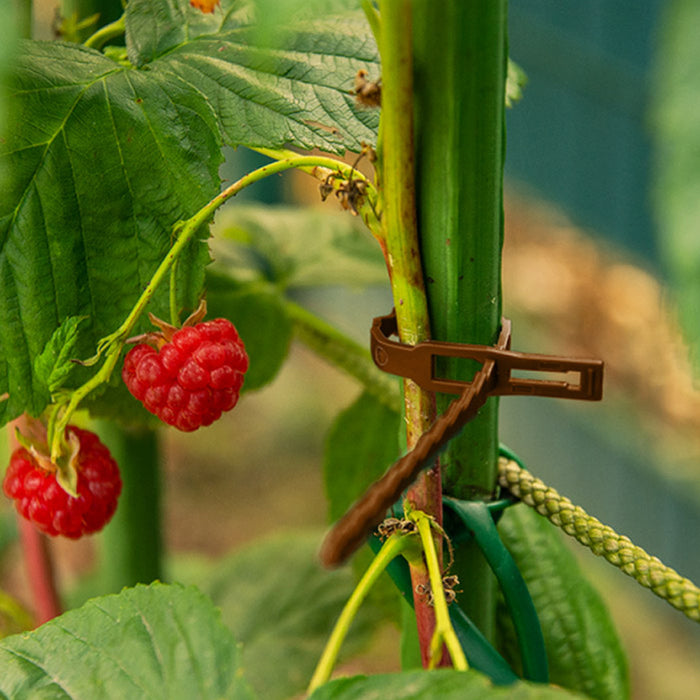 PLANT TIES 17CM 50BR BROWN BRADAS TYT54170BR/50