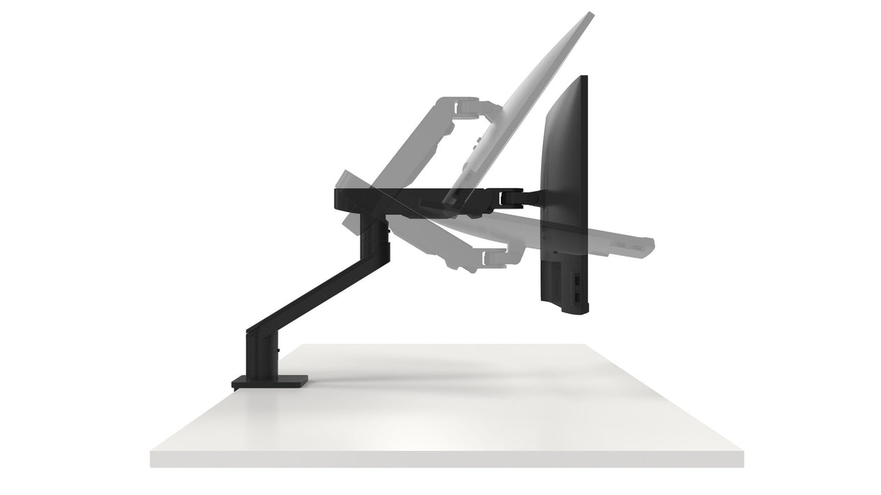 Screen Table Support Dell DELL-MSA20 19"