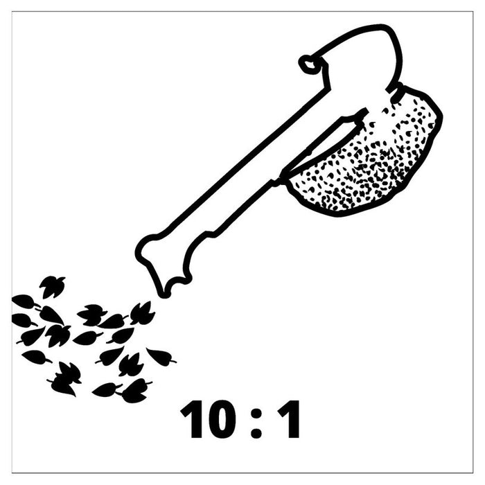 ELECTRIC LEAF COLLECTOR EINHELL GC-EL 3024 E 3000 W, MAXIMUM BLOWING SPEED 240 km/h