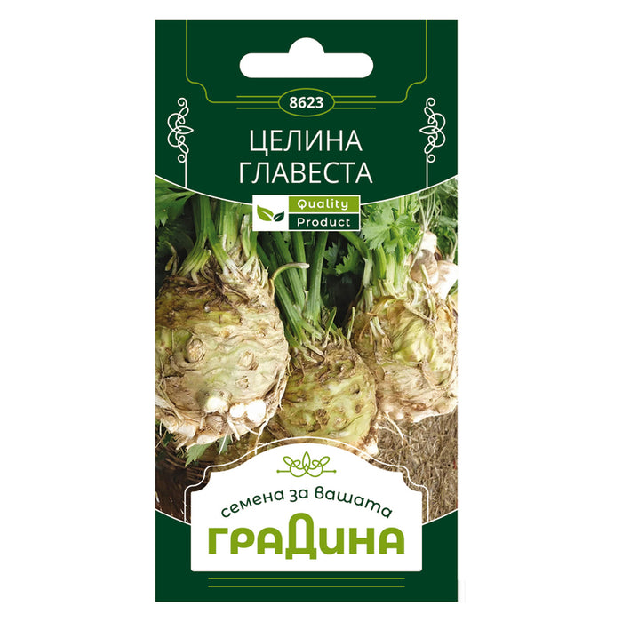 CELERY SEEDS HEAD GARDEN