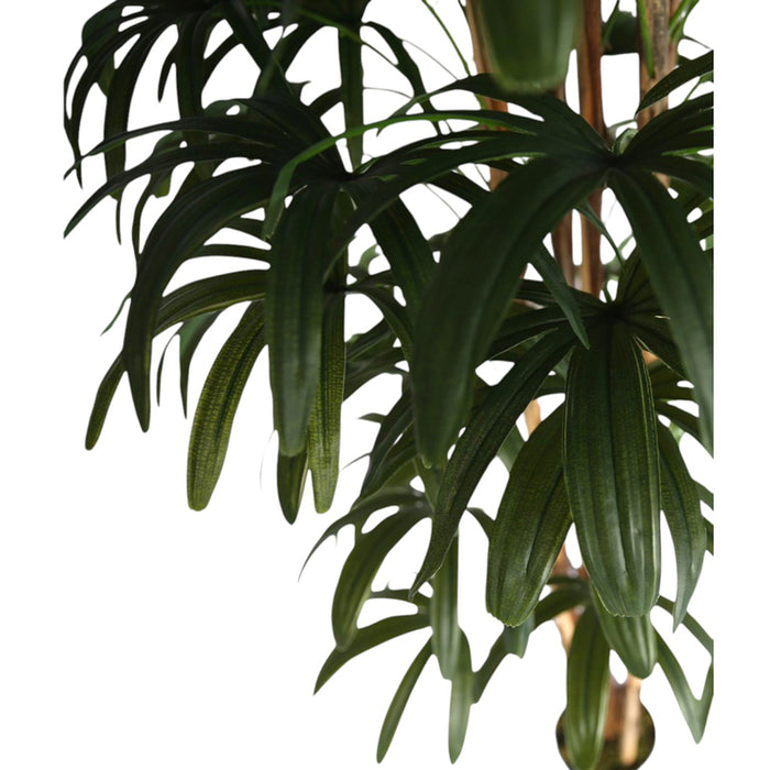 ARTIFICIAL PLANT PALM BENJAMIN 200CM HD HD-10972