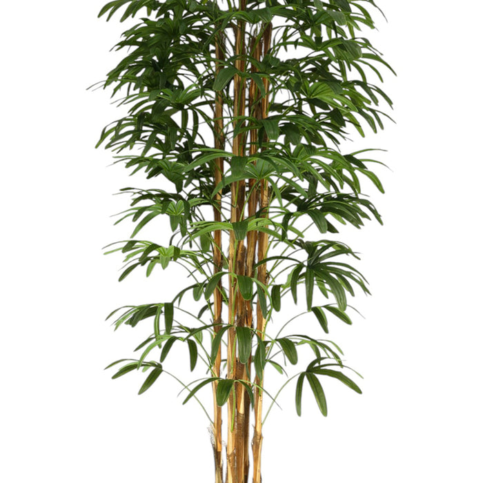ARTIFICIAL PLANT PALM BENJAMIN 200CM HD HD-10972