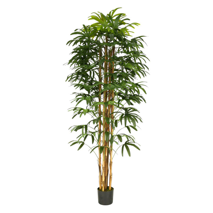 ARTIFICIAL PLANT PALM BENJAMIN 200CM HD HD-10972