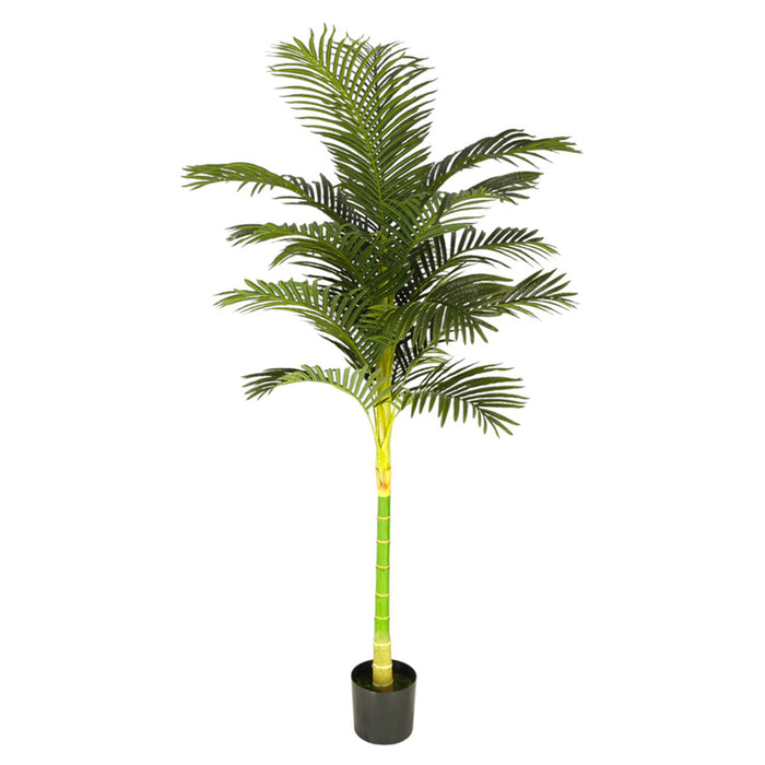ARTIFICIAL PLANT ARECA PALM 210CM HD HD-10974