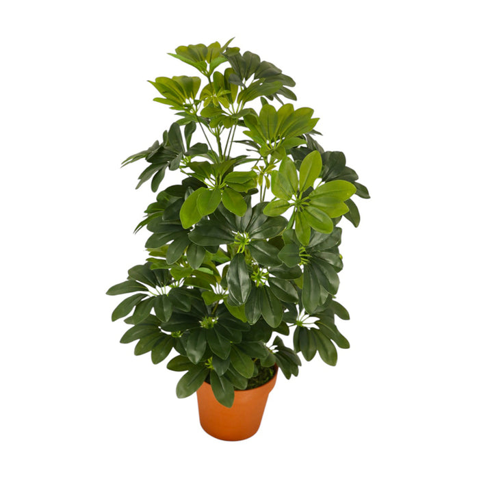 ARTIFICIAL PLANT SCHEFLERA 65CM HD HD-10980