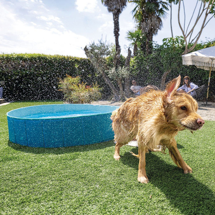 POOL FOR A PET LOVER F152X30CM INTEX 48400NP