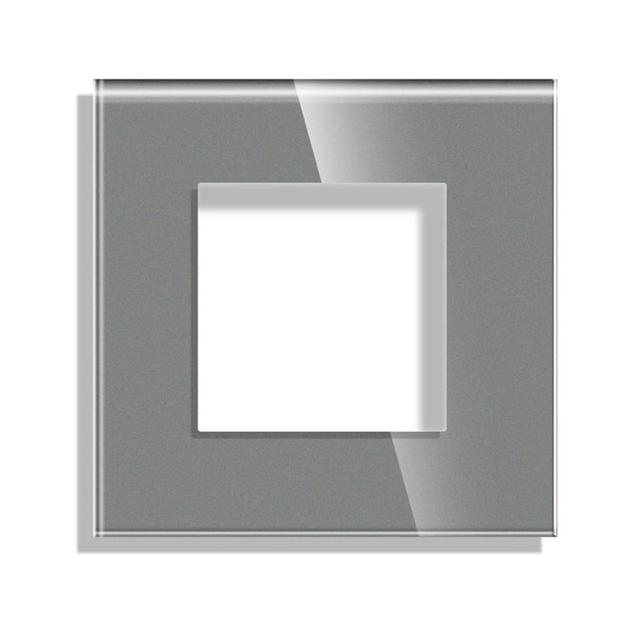 FRAME SINGLE GLASS LUXON GRAY