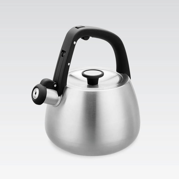 Kettle Maestro MR-1318 2,5 l Silver, Black