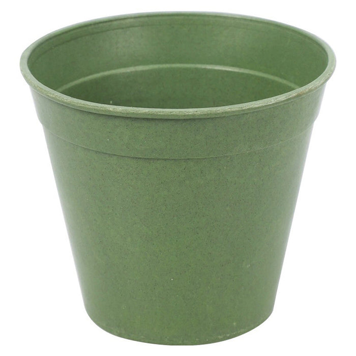 SET OF SEEDLINGS 8PCS PROGARDEN CY8901800