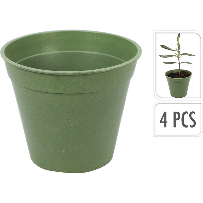 SET OF SEEDLINGS 4PCS PROGARDEN CY8901810