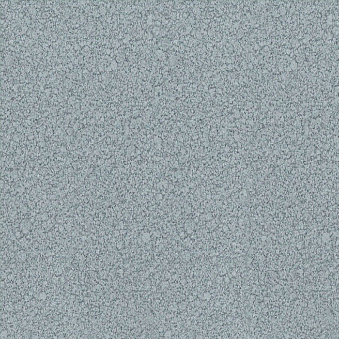 3 IN 1 ENAMEL LACQUER 500 ML DARK SILVER COLOR PROTECTA