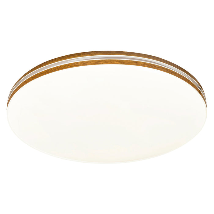 LED CEILING LAMP 18W 4000K 34CM RABALUX OSCAR