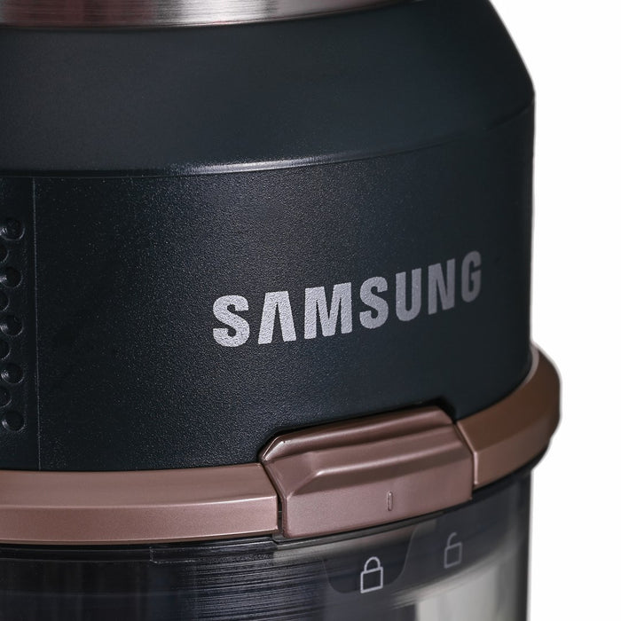 Vacuum cleaner Samsung VS20B95943N/GE
