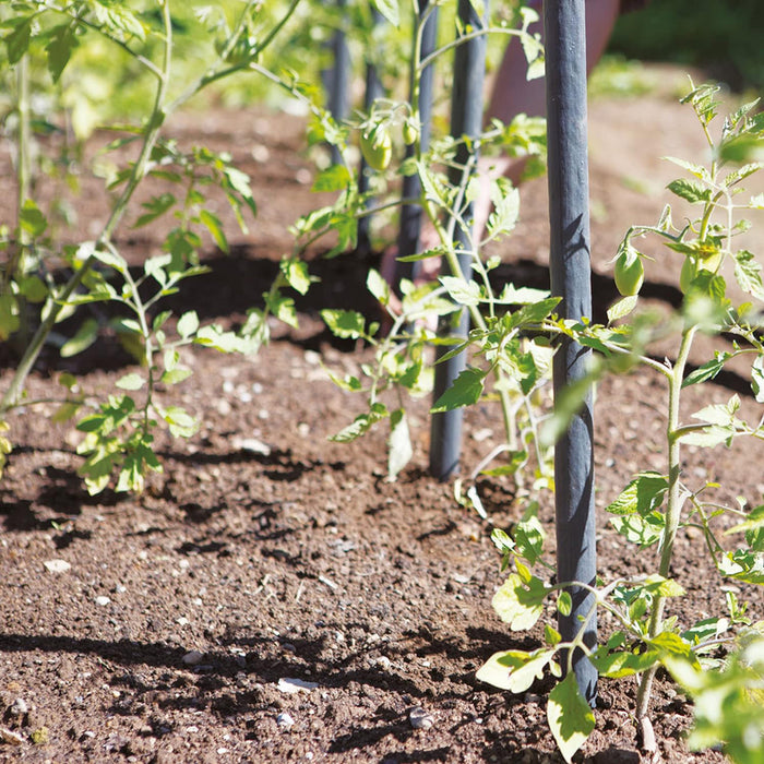 TENAX WINDING PLANT POLE