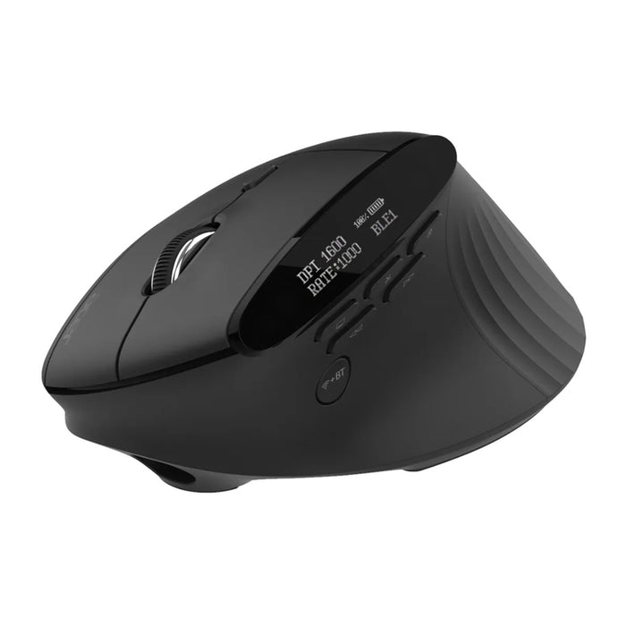 Acer Smart Fit Wireless Mouse, RF 2.4 GHz dongle, Bluetooth 5.0, Wired , 10 Buttons, DPI 8000, 90g , Black with RGB strip