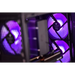 Actina 5901443337379 PC AMD Ryzen™ 5 5500 16 GB DDR4-SDRAM 1 TB SSD NVIDIA GeForce RTX 4060 Midi Tower Black - Gaming