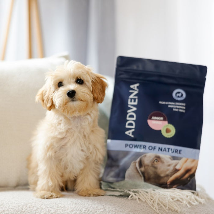 ADDVENA Power of Nature Junior Small Lamb - dry dog food - 2,5kg