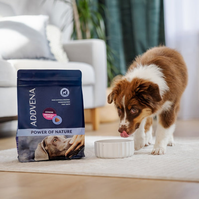 ADDVENA Power of Nature Junior Medium/Large Lamb - dry dog food - 10kg