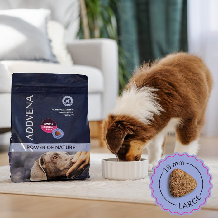 ADDVENA Power of Nature Junior Medium/Large Lamb - dry dog food - 10kg