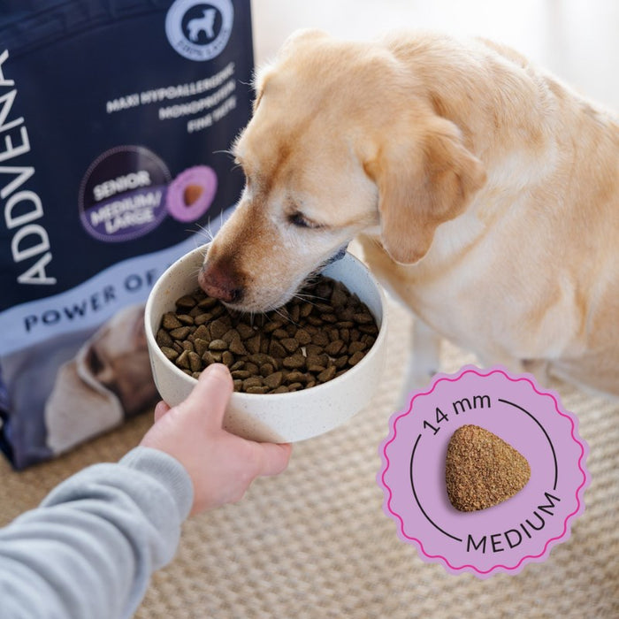 ADDVENA Power of Nature Senior Medium/Large Lamb - dry dog food - 2,5kg