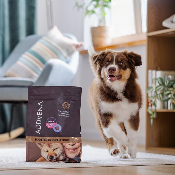 ADDVENA Boosted by superfoods Junior Medium/Large Beef - dry dog food - 2,5kg
