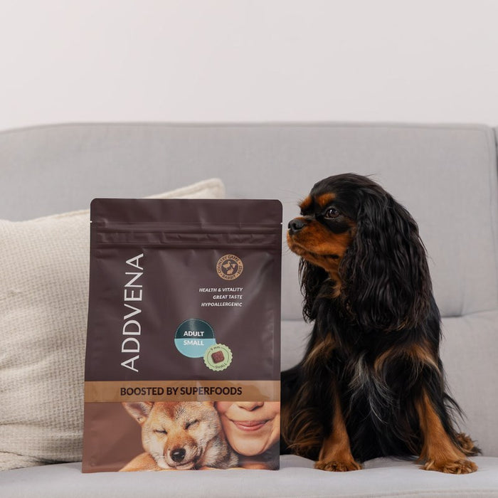 ADDVENA Boosted by superfoods Adult Small Beef - dry dog food - 10kg