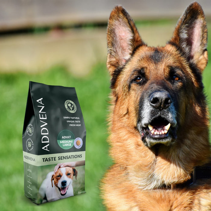 ADDVENA Taste Sensations Adult Medium/Large Turkey - dry dog food - 2,5kg