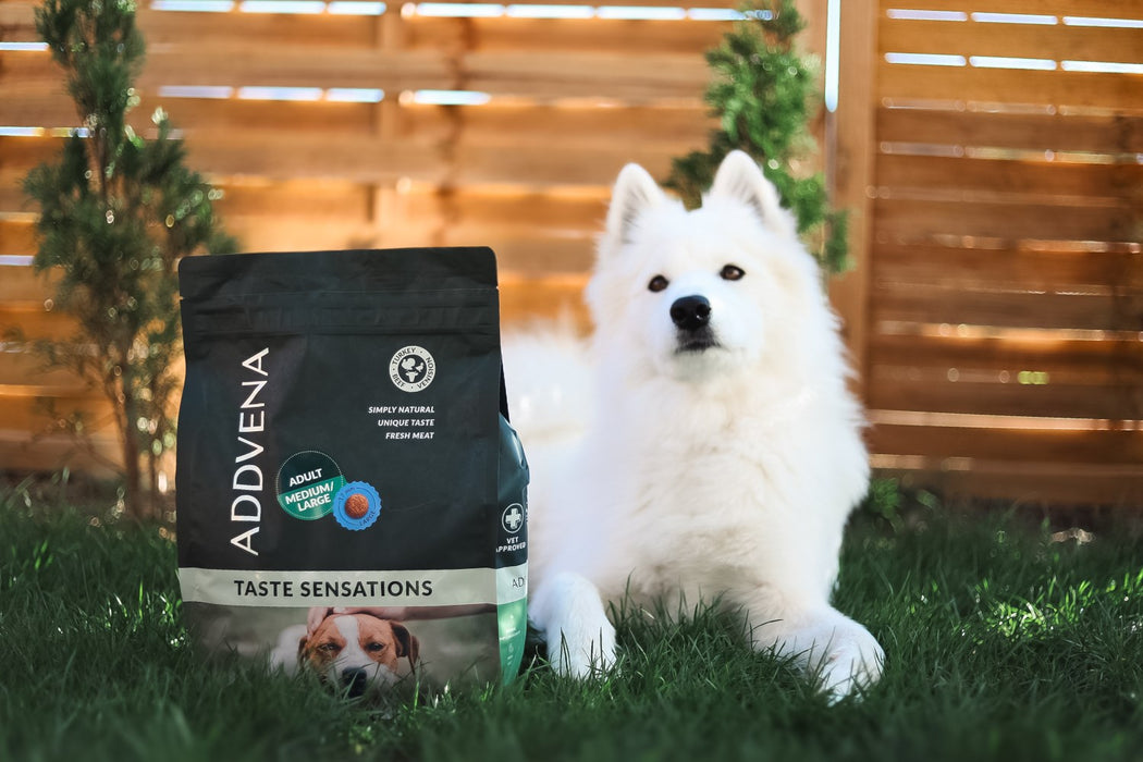 ADDVENA Taste Sensations Adult Medium/Large Turkey - dry dog food - 2,5kg