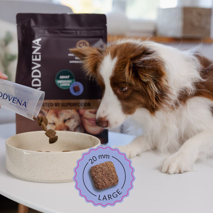 ADDVENA Boosted by superfoods Adult Medium/Large Beef - dry dog food - 2,5kg