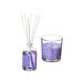 Air Freshener Set Acorde Lavendar 100 ml (6 Units) - Почистване Прахосмукачки И Гладене<<<Дом