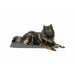 Airbed Trixie Dark grey 100 × 70 CM Dog - Домашни Животни<<<Дом Градина<<<BigBuy&&&Къщички и легълца<<<Домашни