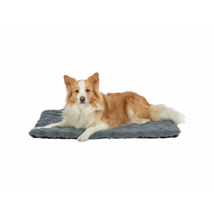 Airbed Trixie Dark grey 70 × 50 cm Dog - Домашни Животни<<<Дом Градина<<<BigBuy&&&Къщички и легълца<<<Домашни