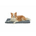 Airbed Trixie Dark grey 70 × 50 cm Dog - Домашни Животни<<<Дом Градина<<<BigBuy&&&Къщички и легълца<<<Домашни