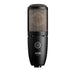 AKG P220 - large-diaphragm condenser microphone black - MicrophonesMIS-MIK<<<Microphones and headphonesMIS<<<ActionPL