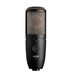 AKG P420 - studio condenser microphone (black) - MicrophonesMIS-MIK<<<Microphones and headphonesMIS<<<ActionPL