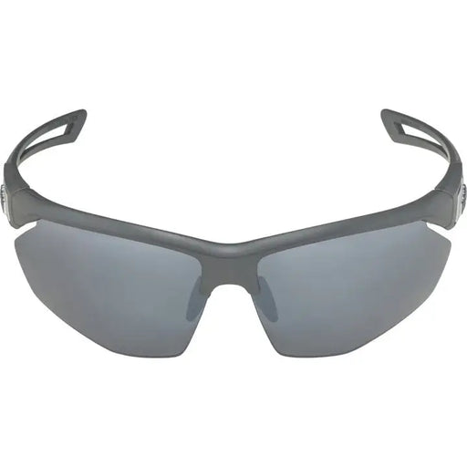 Alpina Nylos HR Sunglasses cat. 3 Grey - GlassesSIR-OKU<<<Bicycles and accessoriesSIR<<<ActionPL