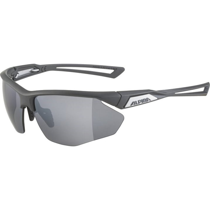 Alpina Nylos HR Sunglasses cat. 3 Grey