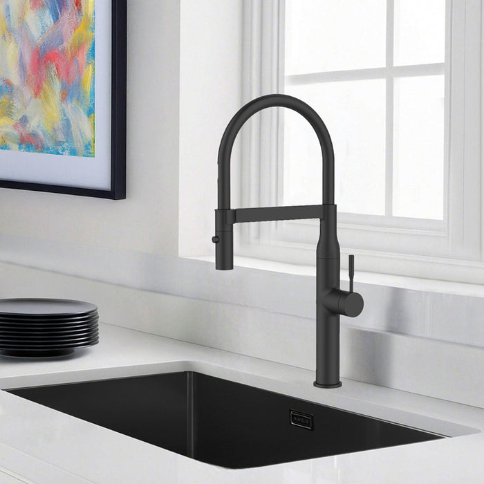 KITCHEN MIXER WITH PULL-OUT SHOWER ALVEUS MIRAGE BLACK