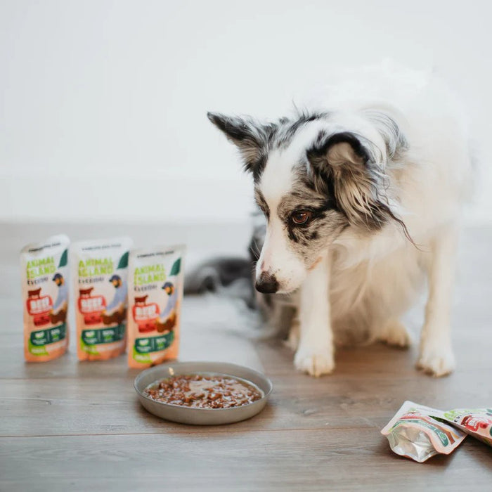 ANIMAL ISLAND Beef Fillets in broth - wet dog food - 10x150g