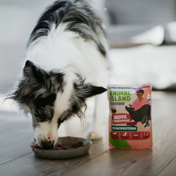 ANIMAL ISLAND Everyday Monoprotein Turkey - wet dog food - 300g
